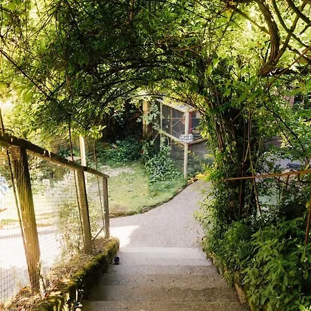 Les Voutes Oubliees Pensjonat Doué-la-Fontaine