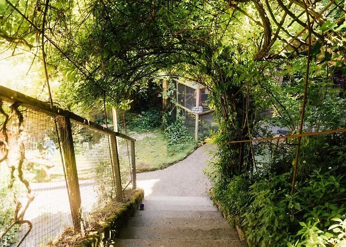 La Parenthese Guest house Doue-la-Fontaine